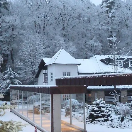 Romantik Waldhotel Mangold Hotel 4*