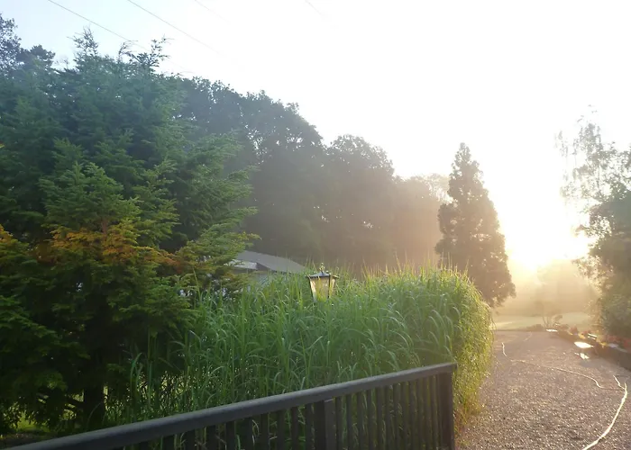 Отель Romantik Waldhotel Mangold