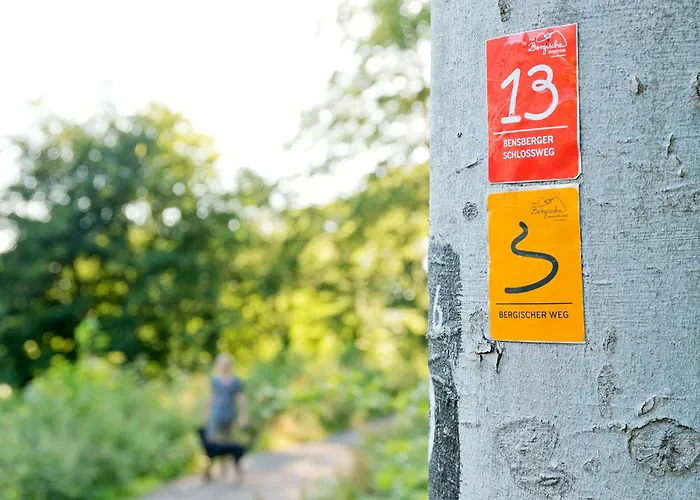 Отель Romantik Waldhotel Mangold